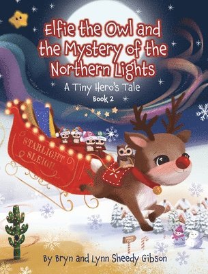 Elfie the Owl and the Mystery of the Northern Lights