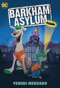 bokomslag Barkham Asylum