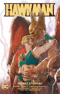bokomslag Hawkman Volume 4