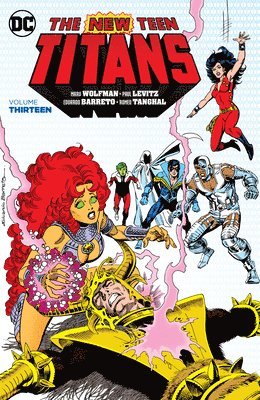 bokomslag The New Teen Titans Vol. 13