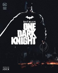 bokomslag Batman: One Dark Knight