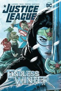 bokomslag Justice League: Endless Winter