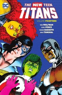 bokomslag New Teen Titans Vol. 14