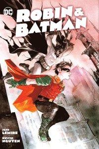 bokomslag Robin & Batman