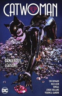 bokomslag Catwoman Vol. 1: Dangerous Liaisons