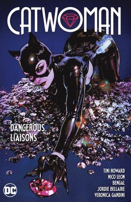 Catwoman Vol. 1: Dangerous Liaisons 1