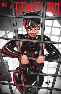 bokomslag Catwoman Vol. 3: Duchess of Gotham