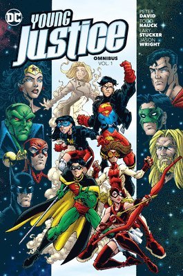 bokomslag Young Justice Omnibus Vol. 1