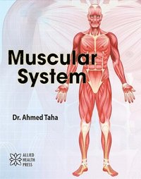 bokomslag Muscular System