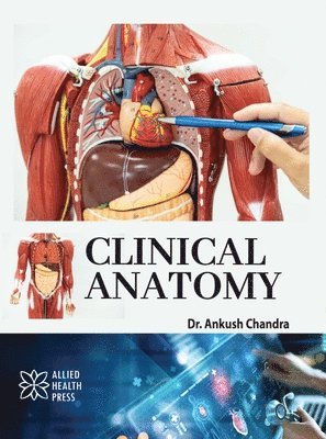 bokomslag Clinical Anatomy