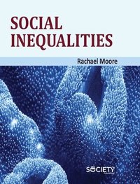 bokomslag Social Inequalities