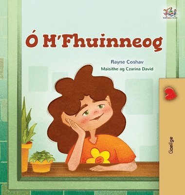 bokomslag From My Window (Irish Kids Book)