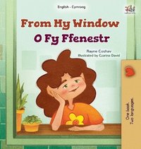 bokomslag From My Window (English Welsh Bilingual Kids Book)