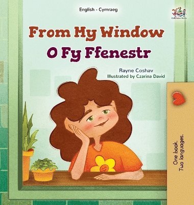 bokomslag From My Window (English Welsh Bilingual Kids Book)