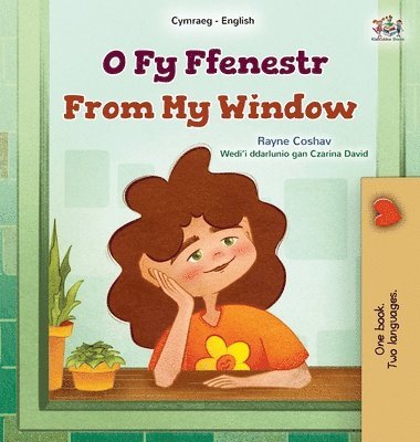 bokomslag From My Window (Welsh English Bilingual Kids Book)