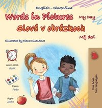 bokomslag Words in Pictures - My Day (English Slovak Bilingual Children's Book)