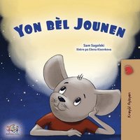 bokomslag A Wonderful Day (Haitian Creole Book for Children)