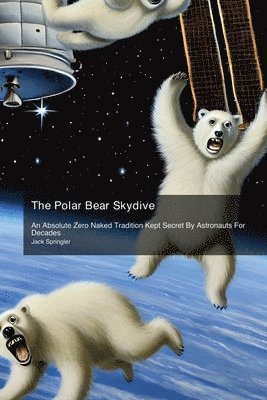 The Polar Bear Skydive: An Absolute Zero Naked Tradition Kept Secret By Astronauts For Decades 1