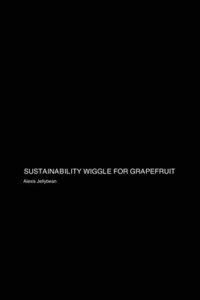 bokomslag Sustainability Wiggle