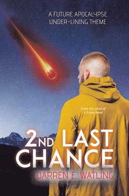 bokomslag 2nd Last Chance