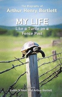 bokomslag My Life like a Turtle on a Fence Post