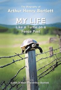 bokomslag My Life like a Turtle on a Fence Post