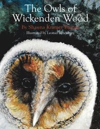 bokomslag The Owls of Wickenden Wood