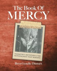 bokomslag The Book Of Mercy