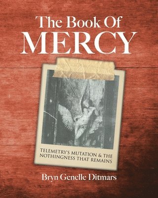 bokomslag The Book Of Mercy