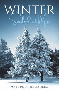 bokomslag Winter Smiled at Me