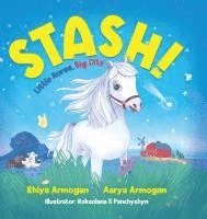 Stash! 1