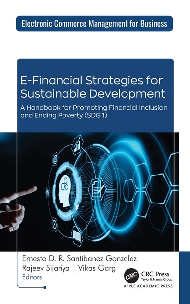 Ernesto D. R. Santibanez Gonzalez, Rajeev Sijariya, Vikas Garg - E-Financial Strategies for Sustainable Development, Inbunden