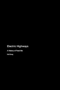 bokomslag Electric Highways