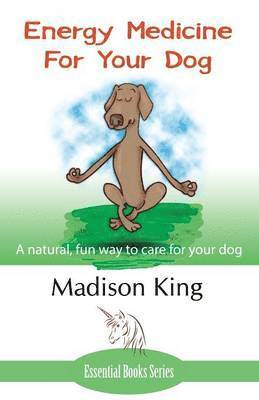 bokomslag Energy Medicine for Your Dog