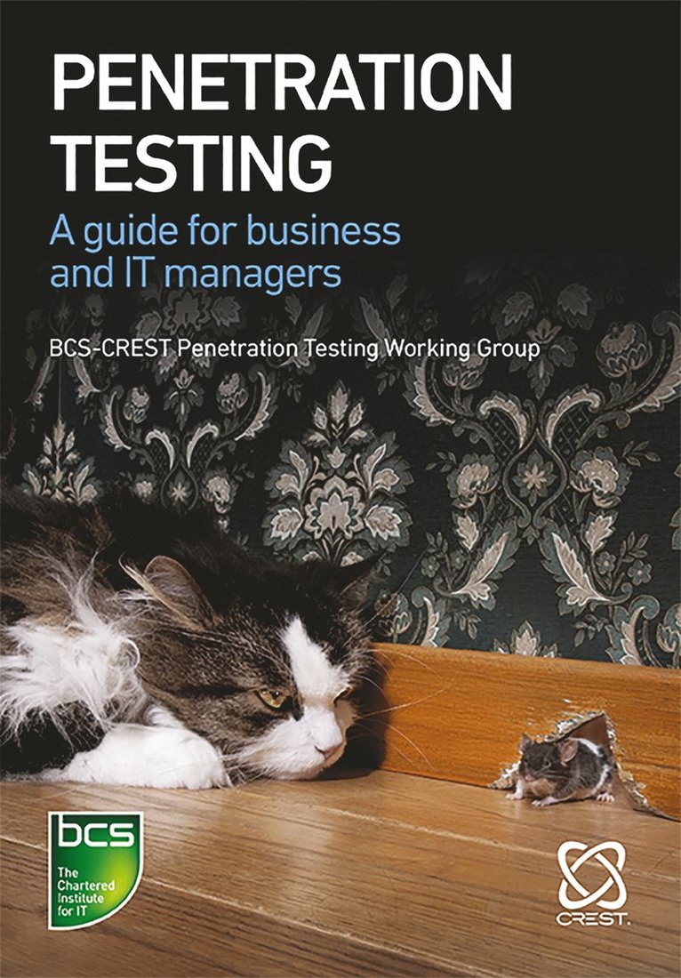 Nick Furneaux, Jims Marchang, Rob Ellis, Jason Charalambous, Moinuddin Zaki, Peter Taylor, Roderick Douglas, Felix Ryan, Ceri Charlton, Gemma Moore, Tylor Robinson, Sharif Gardner, James Hayes - Penetration Testing, Häftad