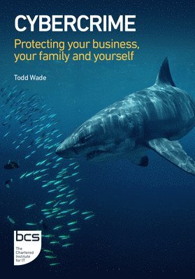 Todd Wade - Cybercrime, Häftad