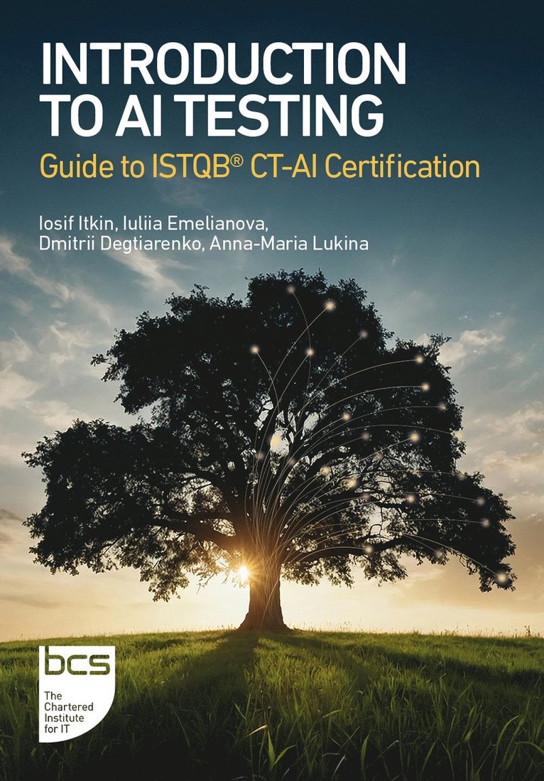 Iosif Itkin, Iuliia Emelianova, Dmitrii Degtiarenko, Anna-Maria Lukina - Introduction to AI Testing, Häftad