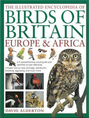 bokomslag Illustrated Encyclopedia of Birds of Britain, Europe & Africa