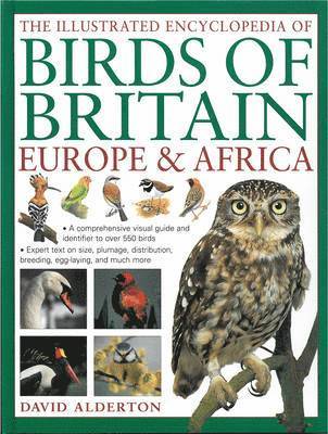 David Alderton - Illustrated Encyclopedia of Birds of Britain, Europe & Africa, Häftad