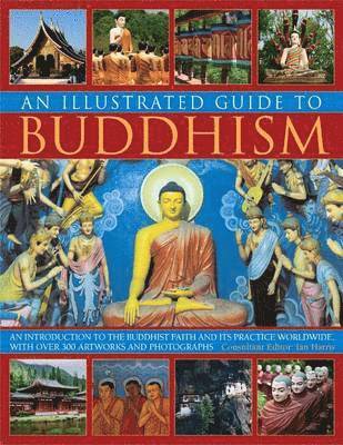 bokomslag Illustrated Guide to Buddhism