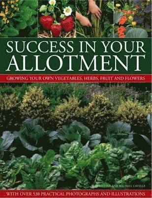 Success in Your Allotment 1