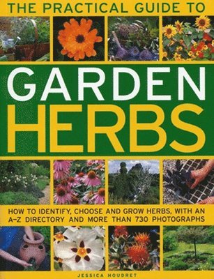 bokomslag Practical Guide to Garden Herbs