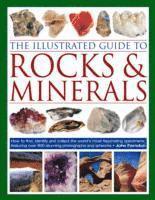 bokomslag Illustrated Guide to Rocks and Minerals