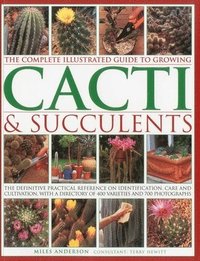 bokomslag Complete Illustrated Guide to Growing Cacti and Succulents