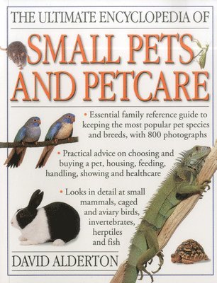 David Alderton - Ultimate Encyclopedia of Small Pets and Pet Care, Häftad