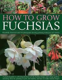 bokomslag How to Grow Fuchsias