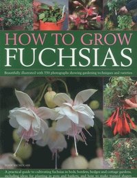 bokomslag How to Grow Fuchsias