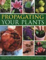 Richard Rosenfeld - Propagating Your Plants, Häftad