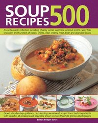 bokomslag 500 Soup Recipes