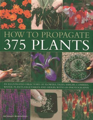 bokomslag How to Propagate 375 Plants